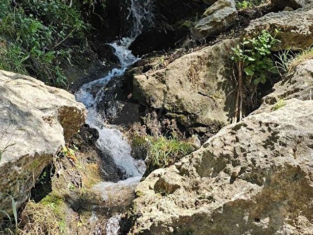 BURDUR KARTALPINAR  -SU KAYNAĞI YANINDA - Görsel 8