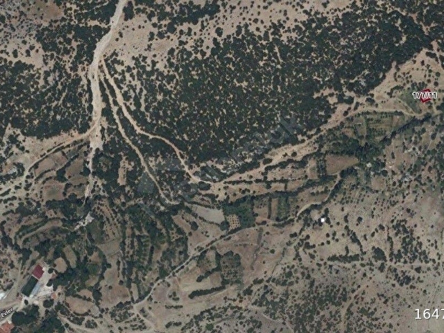 BURDUR KARTALPINAR  -SU KAYNAĞI YANINDA - Görsel 3
