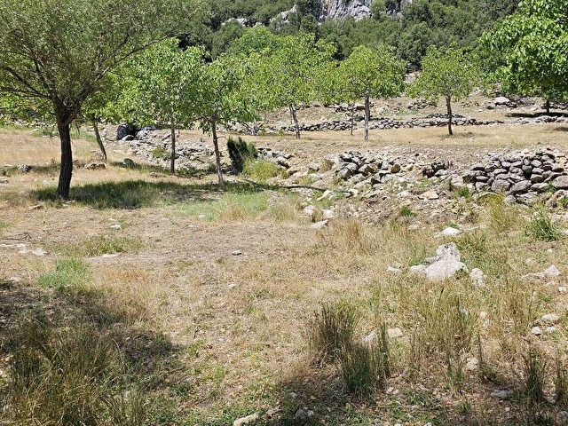BURDUR KARTALPINAR  -SU KAYNAĞI YANINDA - Görsel 4