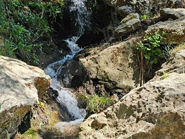 BURDUR KARTALPINAR  -SU KAYNAĞI YANINDA - Görsel 12