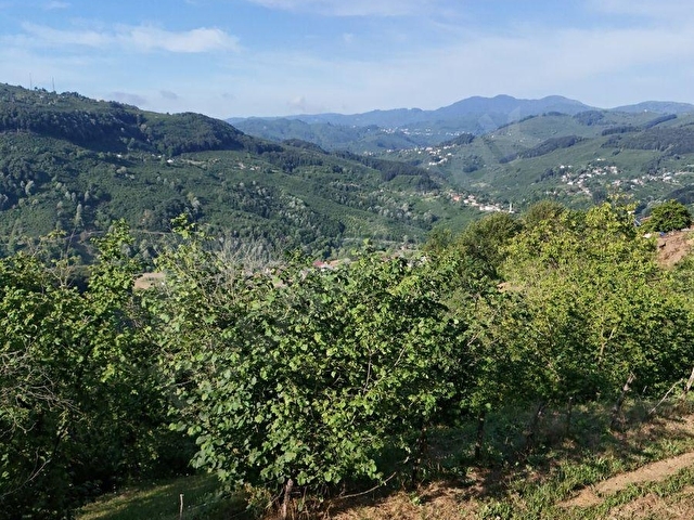 Rafting Merkezine Yakın, Önü Açık, Doğa Harikası 3 Dönüm Arazi! - Görsel 18