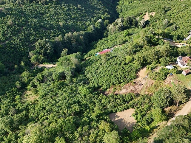Rafting Merkezine Yakın, Önü Açık, Doğa Harikası 3 Dönüm Arazi! - Görsel 16