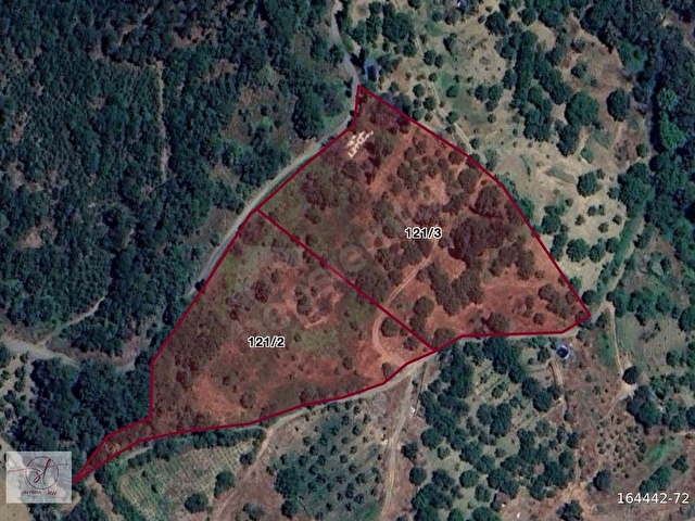 Bayındır Hisarlık ta 22 Dönüm Satılık Cevizli Çiftlik Arazisi - Görsel 12