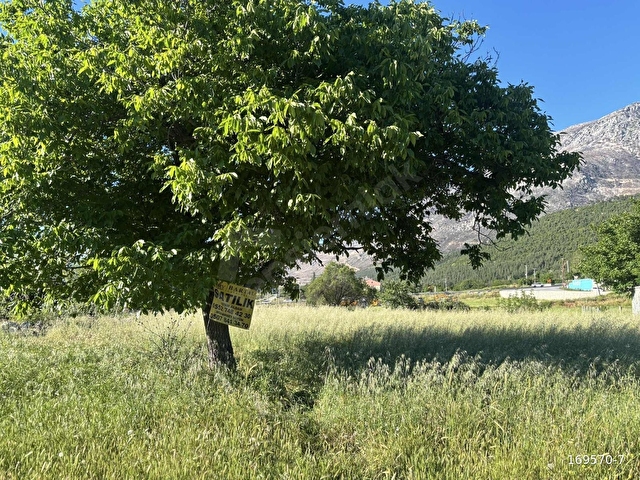 CANKURTARANDA SATILIK DAĞ VE DOĞA MANZARALI ARSA - Görsel 6
