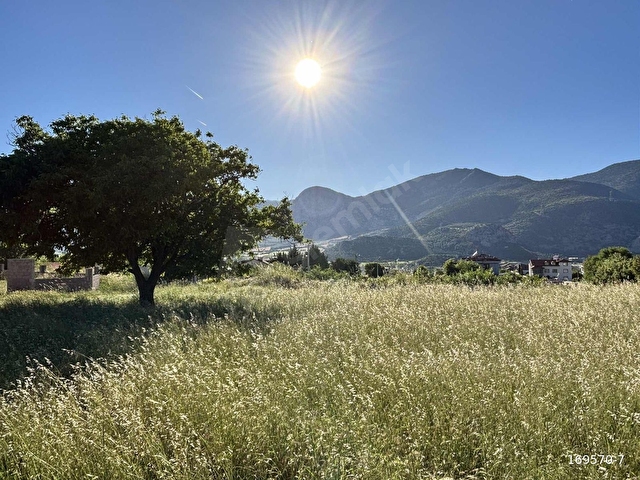 CANKURTARANDA SATILIK DAĞ VE DOĞA MANZARALI ARSA - Görsel 10
