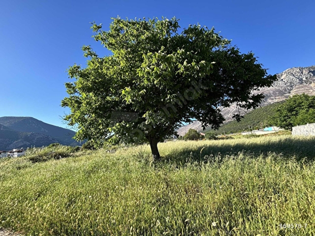 CANKURTARANDA SATILIK DAĞ VE DOĞA MANZARALI ARSA - Görsel 7