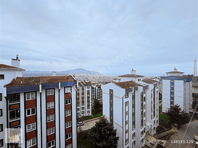 Altınordu Eskipazar Satılık