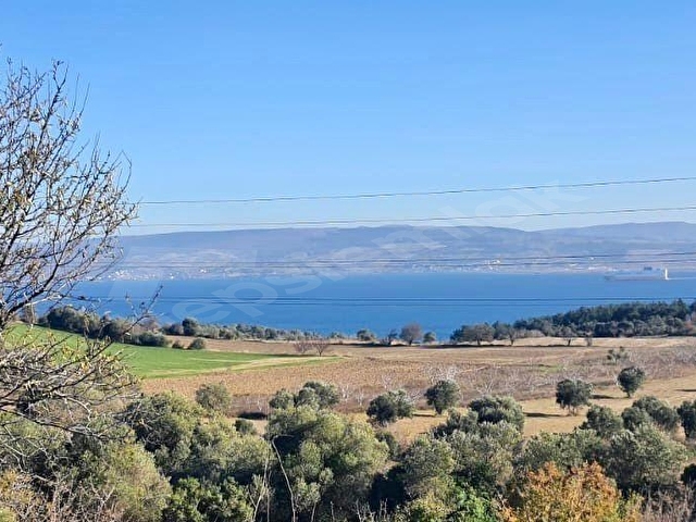 GELİBOLU BURHANLI BOĞAZ MANZ. ,YOL-YERLEŞİM 870m SATILIK TARLA