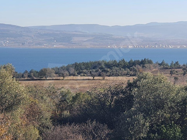 GELİBOLU BURHANLI BOĞAZ MANZ. ,YOL-YERLEŞİM 870m SATILIK TARLA - Görsel 17