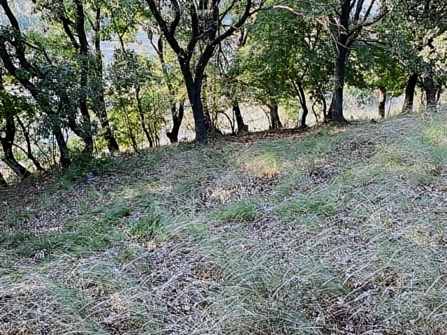 PINARHİSAR TOZAKLIDA 18000 M2 KOMLE TEL ÖRGÜ ÇEKİLMİŞ - Görsel 7