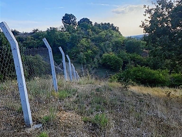 PINARHİSAR TOZAKLIDA 18000 M2 KOMLE TEL ÖRGÜ ÇEKİLMİŞ - Görsel 5