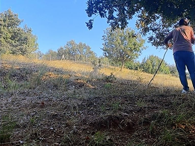 PINARHİSAR TOZAKLIDA 18000 M2 KOMLE TEL ÖRGÜ ÇEKİLMİŞ - Görsel 4