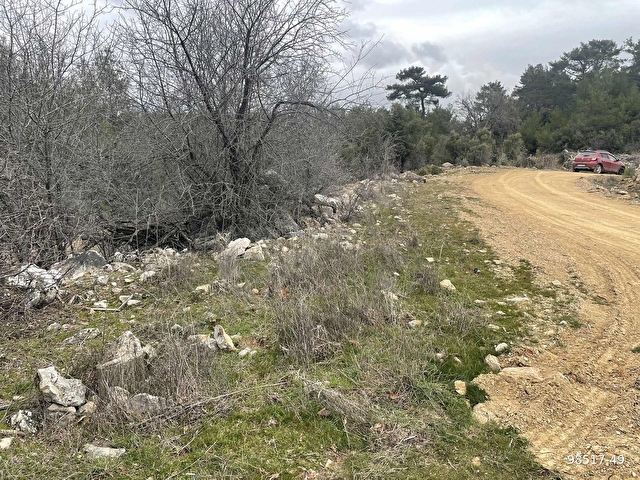 Muğla Ula Gölcük de 1.180 m2.müstakil tarla satılık. - Görsel 7