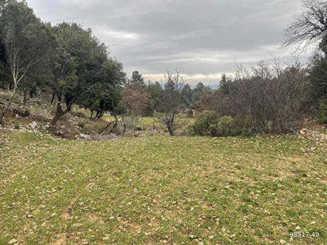 Muğla Ula Gölcük de 1.180 m2.müstakil tarla satılık. - Görsel 3