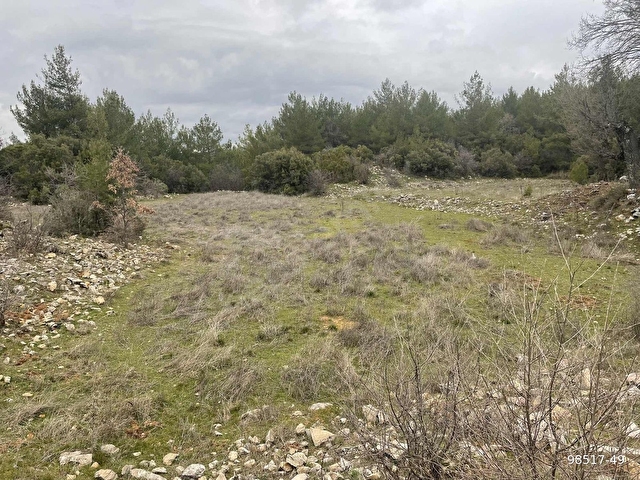 Muğla Ula Gölcük de 1.180 m2.müstakil tarla satılık. - Görsel 16