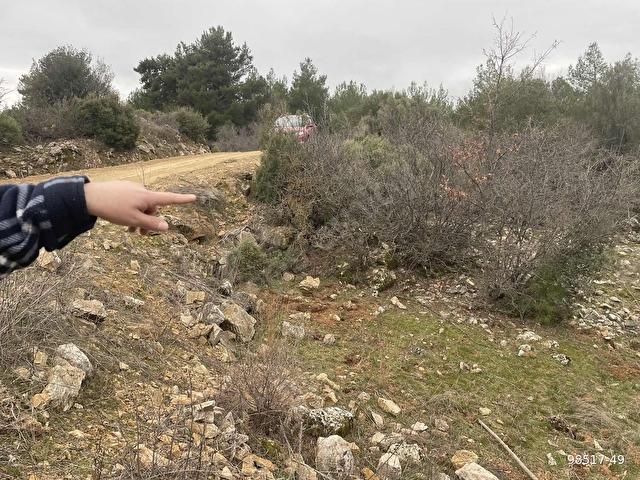 Muğla Ula Gölcük de 1.180 m2.müstakil tarla satılık. - Görsel 13
