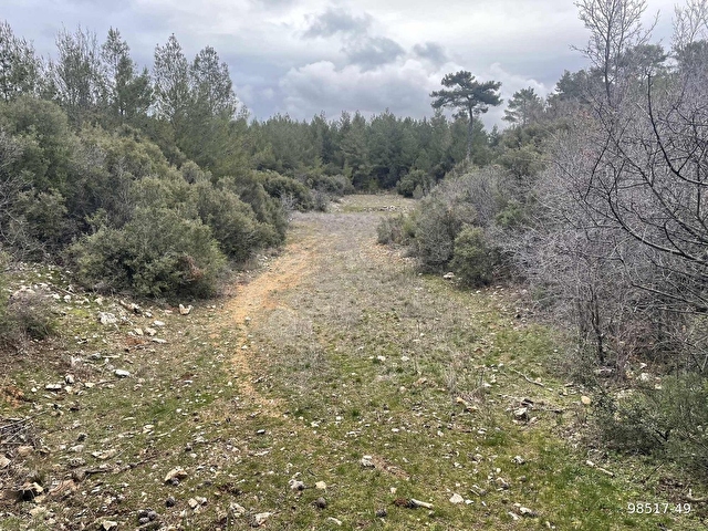 Muğla Ula Gölcük de 1.180 m2.müstakil tarla satılık. - Görsel 8