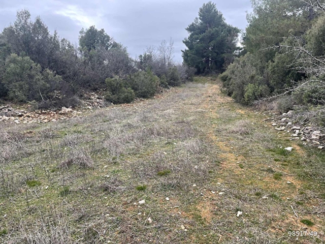 Muğla Ula Gölcük de 1.180 m2.müstakil tarla satılık. - Görsel 9