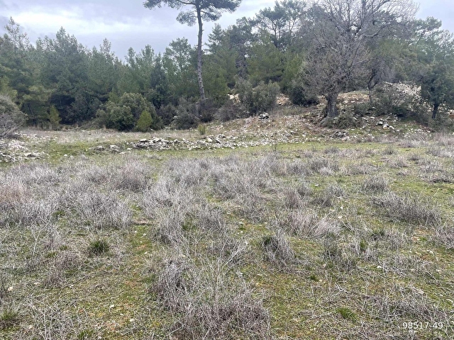 Muğla Ula Gölcük de 1.180 m2.müstakil tarla satılık. - Görsel 11