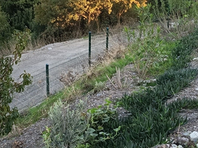 Seferihisar Gödence Mahallesi Satılık Tarla Bağ