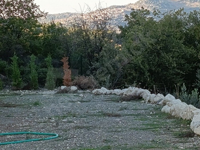 Seferihisar Gödence Mahallesi Satılık Tarla Bağ - Görsel 14