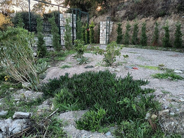 Seferihisar Gödence Mahallesi Satılık Tarla Bağ - Görsel 7