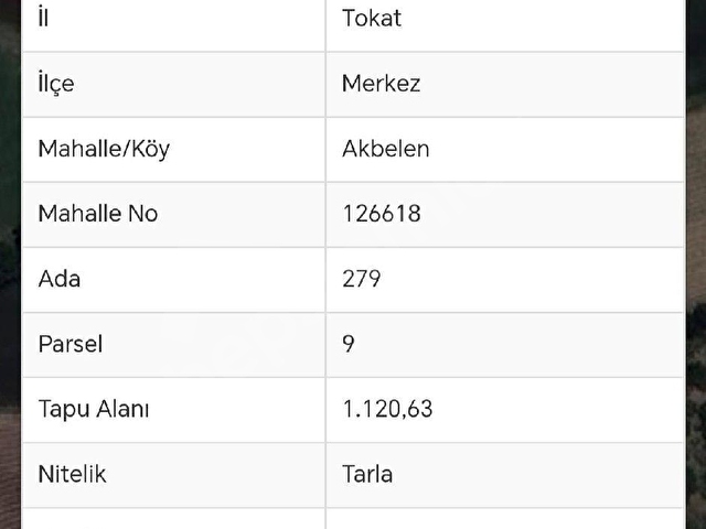 AYKUN DAN AKBELEN ESKİ NİKSAR YOLUNA YAKIN TEK PARSEL SATILIK 1120.M2 TARLA - Görsel 4