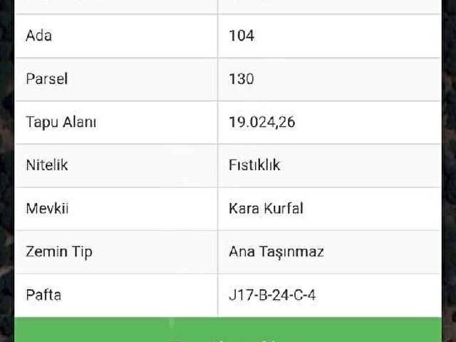 satılık fıstıklık - Görsel 3