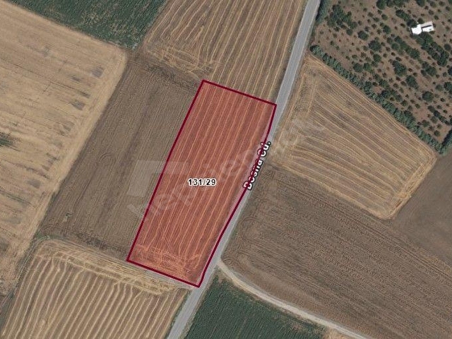 3KDAN SİLİVRİ SEYMEN 130 METRE YOL CEPHELİ FIRSAT 7298 M2 ARAZİ - Görsel 26