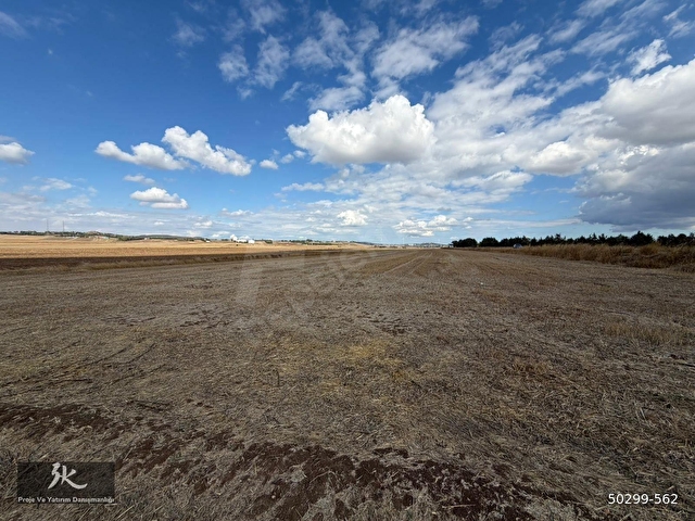 3KDAN SİLİVRİ SEYMEN 130 METRE YOL CEPHELİ FIRSAT 7298 M2 ARAZİ - Görsel 3
