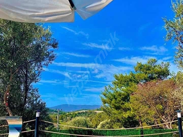 Urla Torasanda Havuzlu, Eşyalı Tiny House Fırsatı - Görsel 12