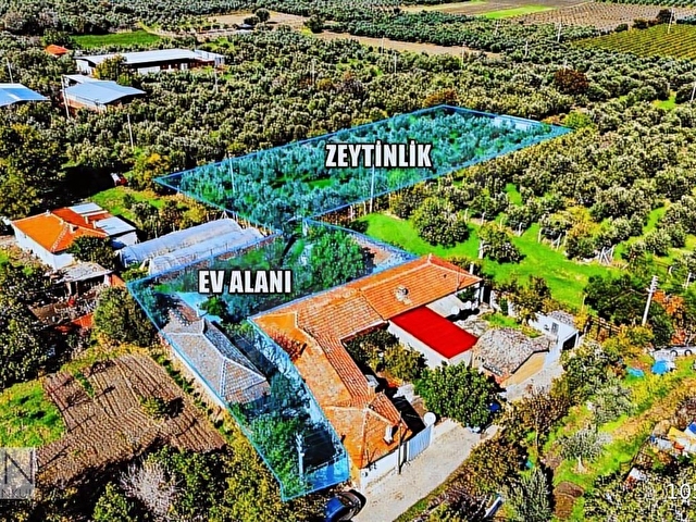 3.5 DÖNÜM MÜSTAKİL EV + ZEYTİNLİK + TRAKTÖR DAHİL! - Görsel 2
