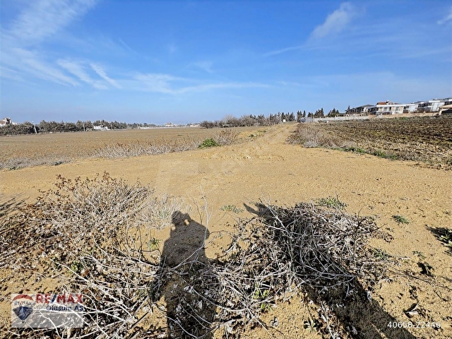 SİLİVRİ ORTAKÖYDE 2186 M2 VİLLA İMARLI ARSA - Görsel 13