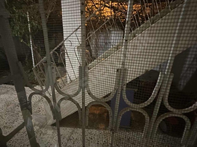 İşlek Cadde Üzerinde Dükkan +4 kat imar izinli Kelepir Daire - Görsel 23