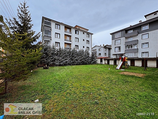 KÜLTÜR MAHALLESİNDE MERKEZDE KOMPLE KİRALIK BİNA VE BAHÇESİ - Görsel 3