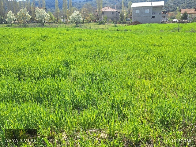 AĞLASUN KİBRİT KÖYÜNDE SATILIK FIRSAT ARAZİ - Görsel 10
