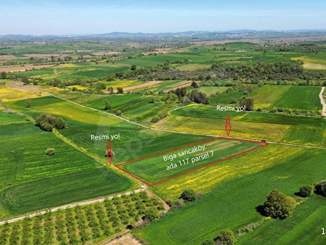 BİGA SARICA KÖYÜ SATILIK 6.990 M2 FIRSAT TARLA - Görsel 7