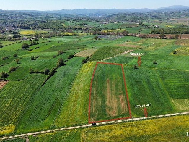 BİGA SARICA KÖYÜ SATILIK 6.990 M2 FIRSAT TARLA - Görsel 6