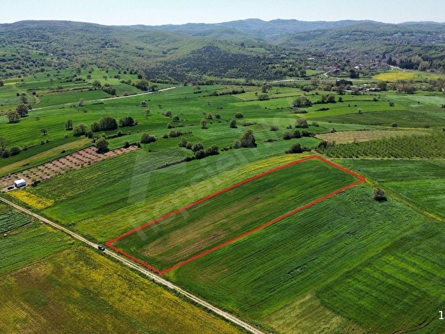BİGA SARICA KÖYÜ SATILIK 6.990 M2 FIRSAT TARLA - Görsel 8