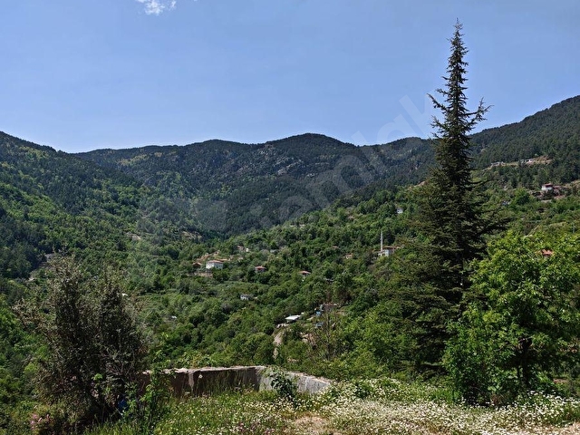 UĞURLU(KIVRASIL)/KÖY İÇİ/1355m2/YOLU VE SUYU VAR/HARFİYATLI - Görsel 2
