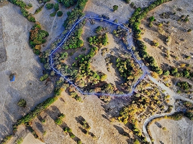 BALIKESİR HAVRAN KOBAKLARDA KÖYE YAKIN YOLA 65 METRE CEPHE - Görsel 13