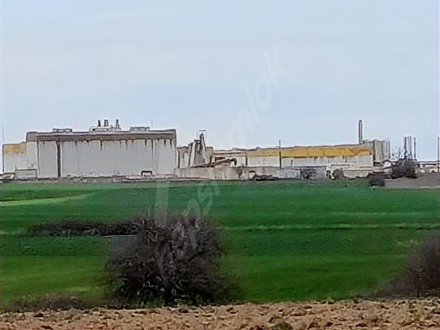 TEKİRDAĞ SARAY YUKARI BÖLGESİNDE YATIRIMA UYGUN ULAŞTIĞI KOLAY - Görsel 5