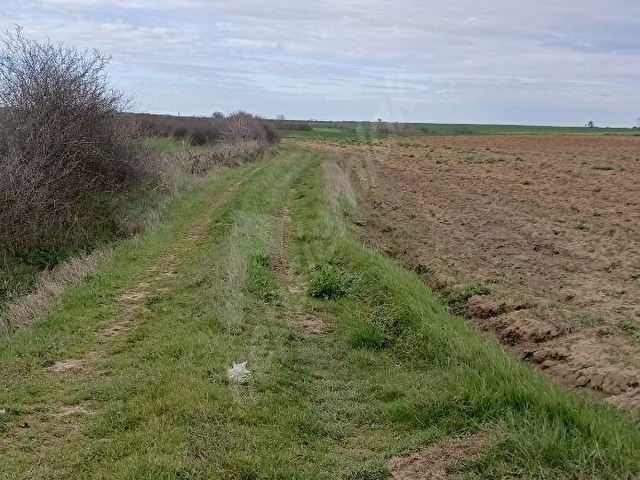 TEKİRDAĞ SARAY YUKARI BÖLGESİNDE YATIRIMA UYGUN ULAŞTIĞI KOLAY - Görsel 19