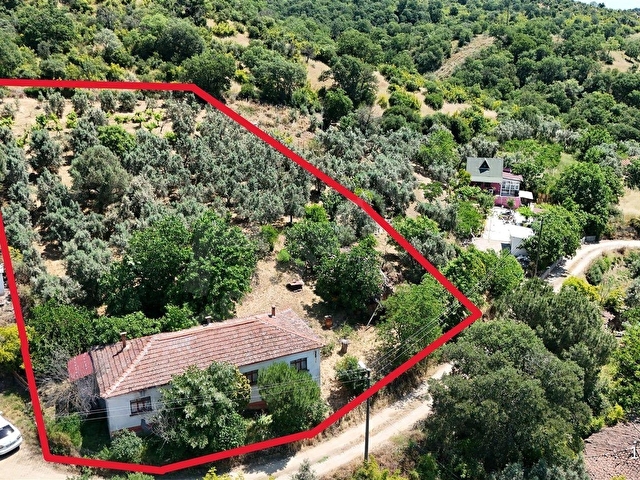 2.500 m² Dereköyde Zeytinlikle Müstakil Köy Evi Doğa ve Huzur - Görsel 24