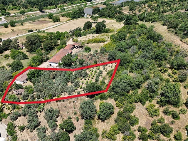 2.500 m² Dereköyde Zeytinlikle Müstakil Köy Evi Doğa ve Huzur - Görsel 16