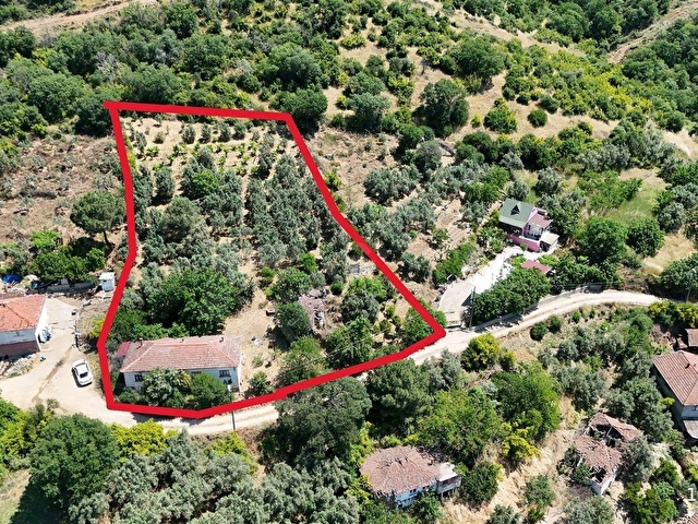 2.500 m² Dereköyde Zeytinlikle Müstakil Köy Evi Doğa ve Huzur - Görsel 10