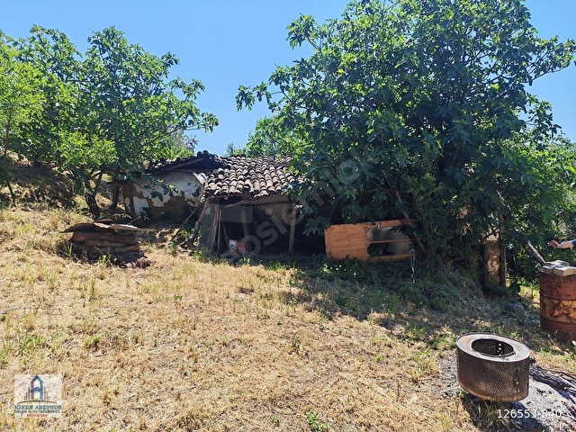 2.500 m² Dereköyde Zeytinlikle Müstakil Köy Evi Doğa ve Huzur - Görsel 15