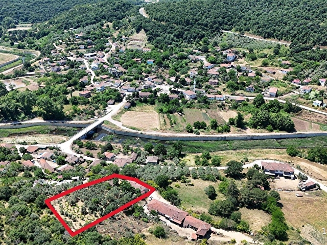 2.500 m² Dereköyde Zeytinlikle Müstakil Köy Evi Doğa ve Huzur - Görsel 20