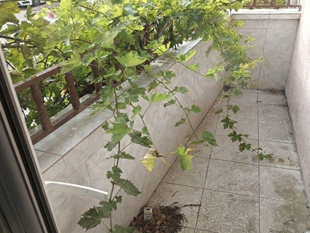 BOLU TABAKLAR MAH ARAKAT 4+1 SATILIK DAİRE - Görsel 13
