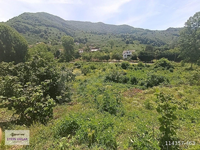 DÜZCE MERKEZ SATILIK İMARLI YATIRIMLIK ARSA - Görsel 6